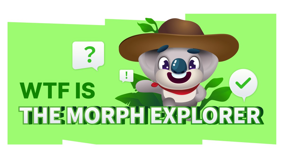 WTF is The Morph Explorer?